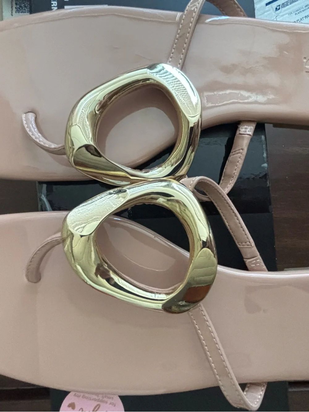 BNIB, I.N.C. Nude Patent Thong Sandals with Gold Accent